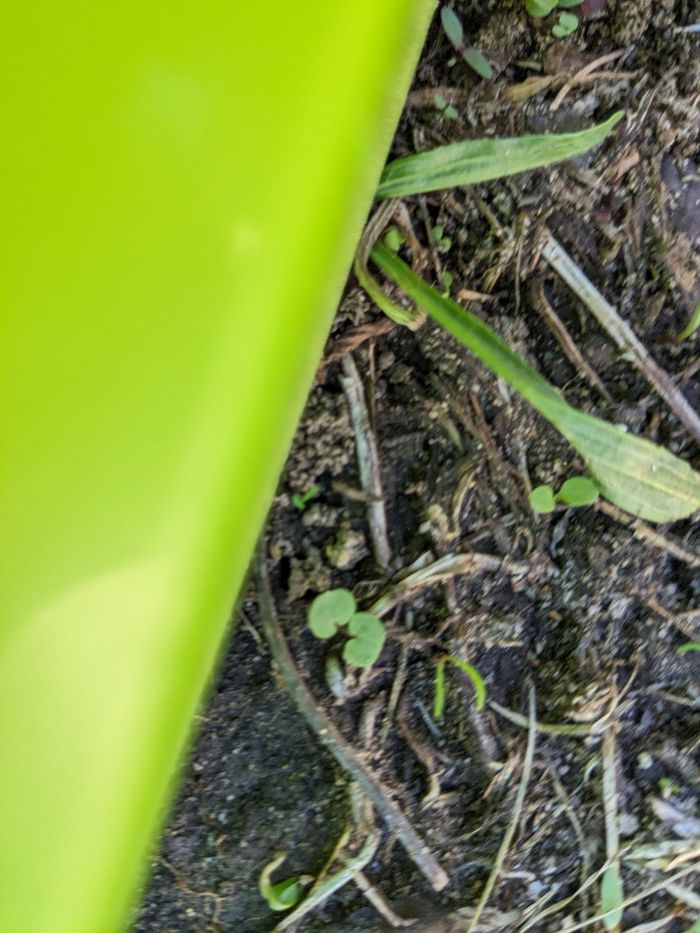 Support à outils d'angle - photo numéro 5