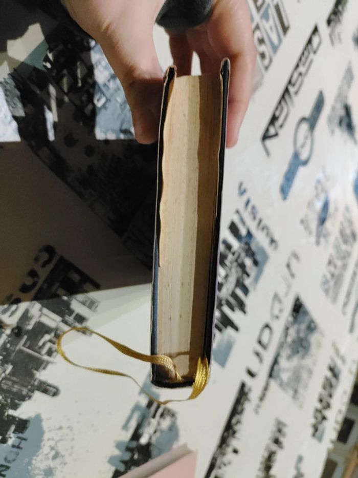 Sagan - photo numéro 3