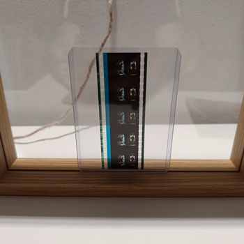 Pellicule démon slayer inosuke