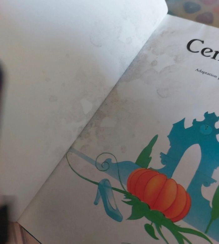 Livre cendrillon - photo numéro 3