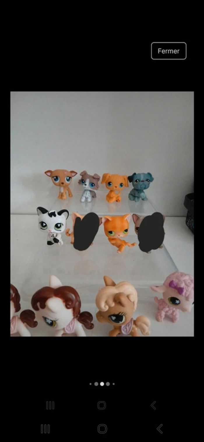Littest petshop - photo numéro 5