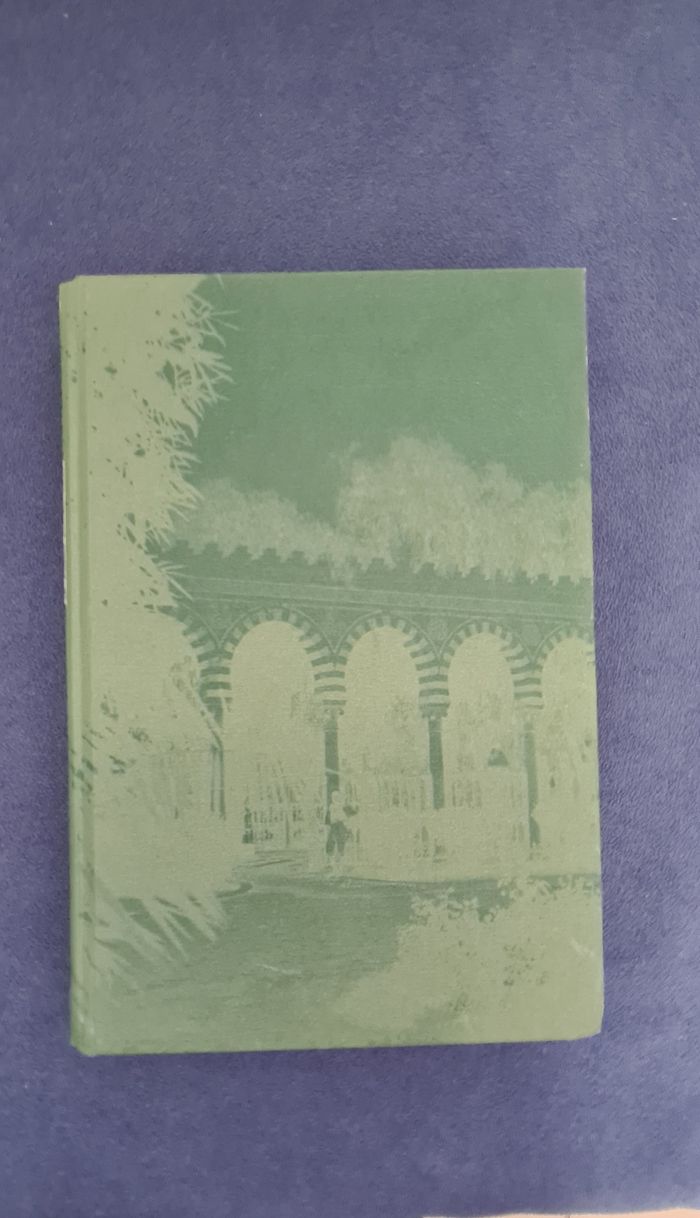 Le jardin des Henderson - Catherine Hermary-Vieille - photo numéro 8