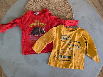 Lot 2 tee-shirt garçon 18 mois