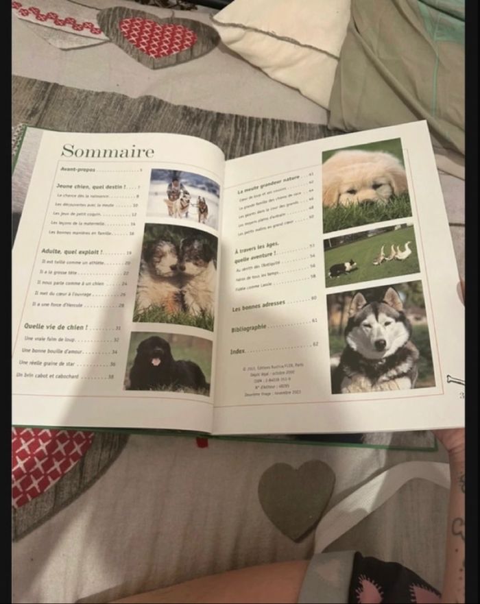 Livre sur les chien 🐶 - photo numéro 3