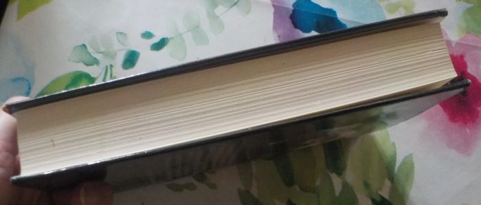 Le Jaguar de Paul Durand Ed. France Loisirs - photo numéro 4