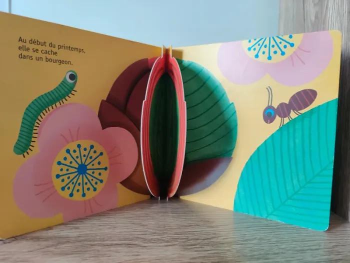 Livre pour enfant La feuille - photo numéro 2