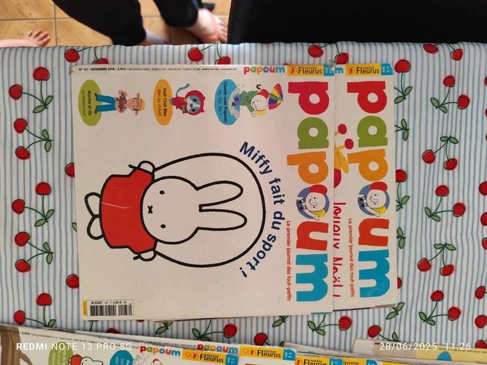 Lot papoum 40 livres dont une année complète - photo numéro 3
