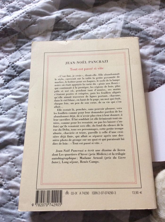 #tout est passé si vite Jean Noel Pancrazi - photo numéro 3