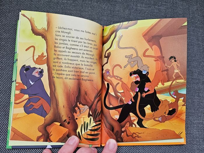 Le livre de la jungle - photo numéro 3