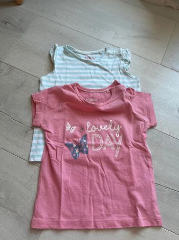 Lot de 2 tee shirt Lupilu