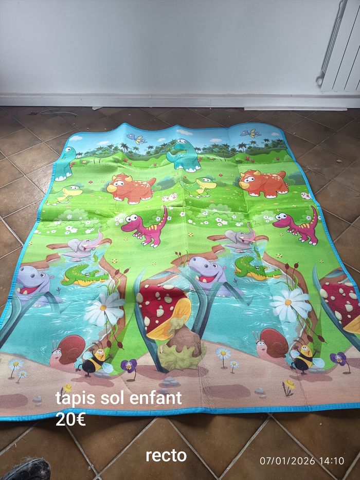 Tapis - photo numéro 2