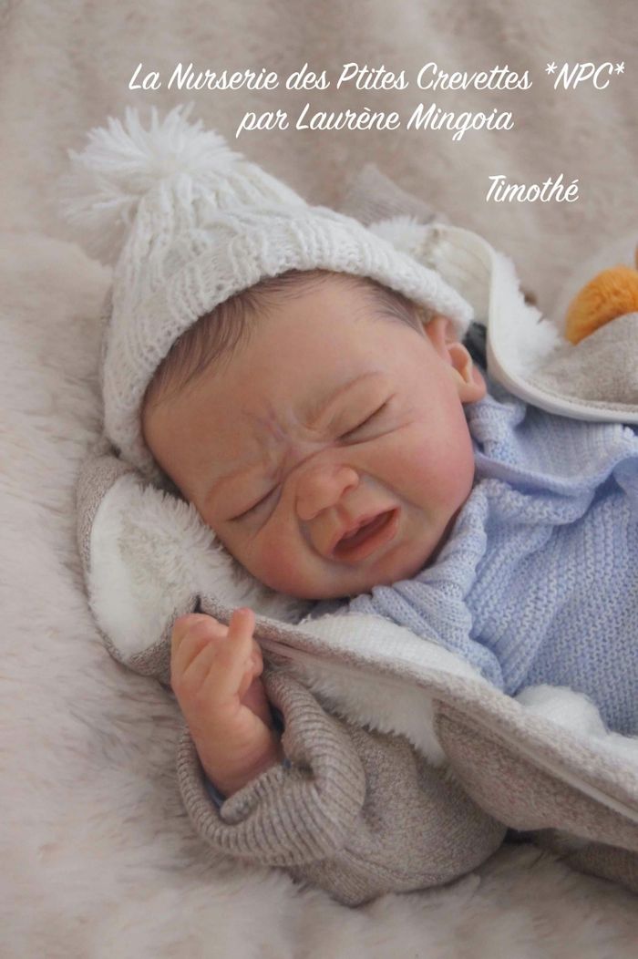 Timothé poupée bébé Reborn authentique 💖 - photo numéro 4