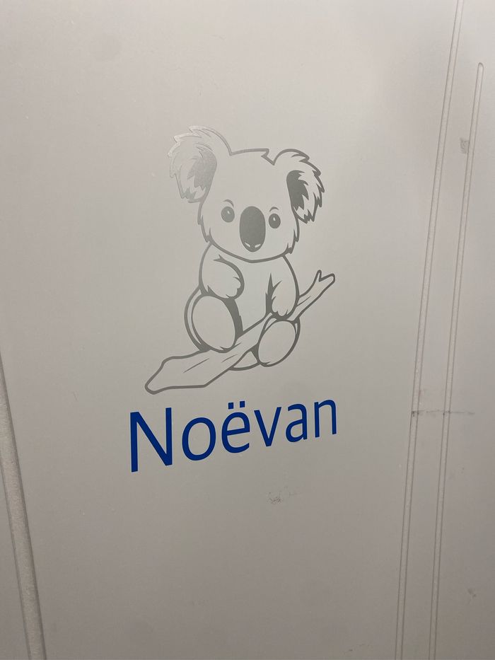 Stickers porte - photo numéro 2