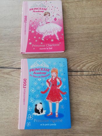 Livre Princesse Academy
