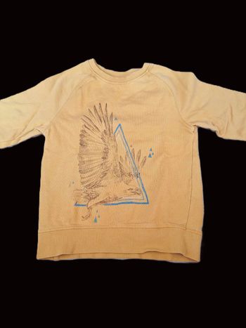 Pull DPAM 8 ans