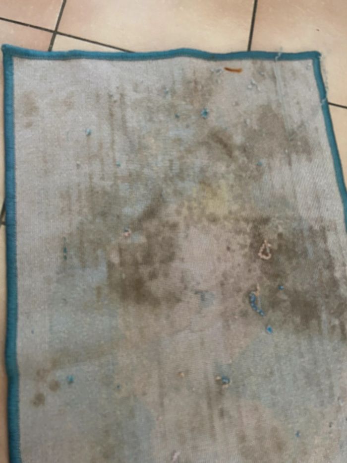 Donne tapis reine des neiges - photo numéro 6