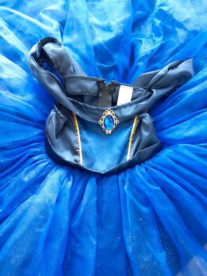 Robe Princesse - photo numéro 8