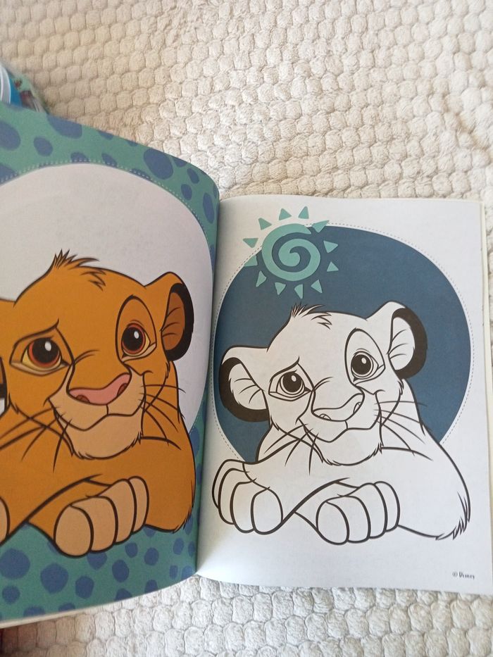Livre de coloriage Simba - photo numéro 5