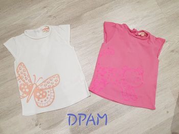 Lot de 2 tee shirt Du pareil au même 24 mois