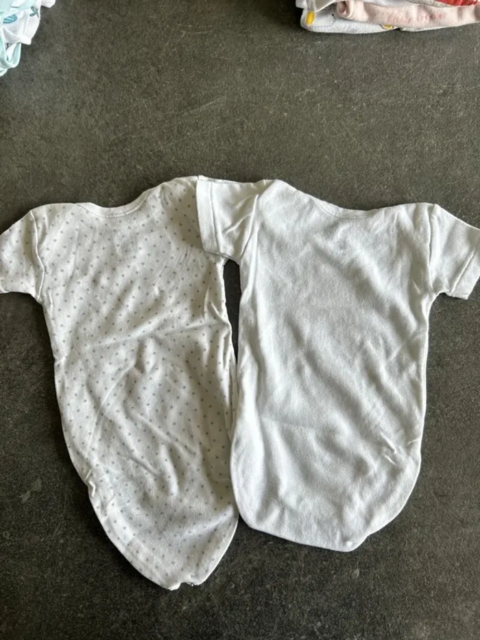 Lot de 2 bodys manches courtes 12 mois - photo numéro 2