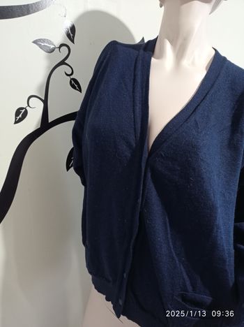 gilet bleu de Edwige taille 50 ref 276 V10