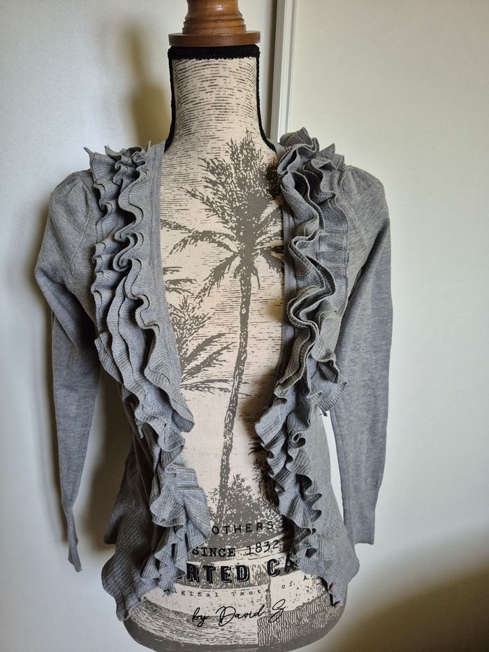 Gilet gris - photo numéro 2