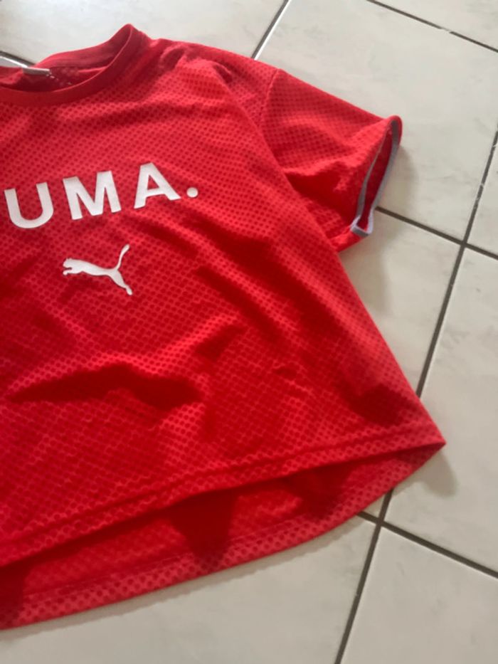 T Shirt - photo numéro 4