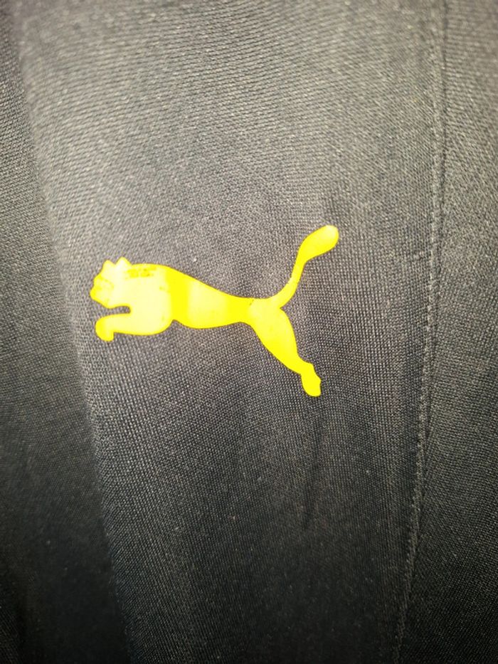 Puma S - photo numéro 3