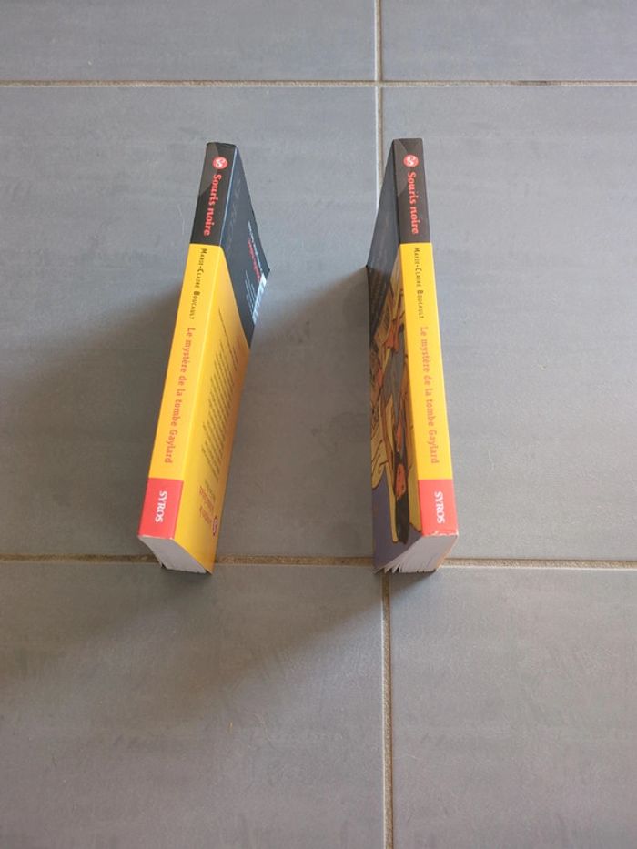 Livre le mystère de la tombe gaylard - photo numéro 5