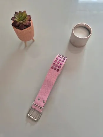 Jolie ceinture rose