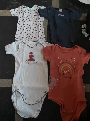 Lot 4 bodies manches courte 12 mois