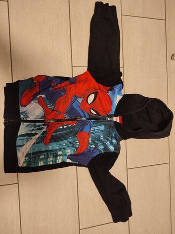 Sweat spiderman