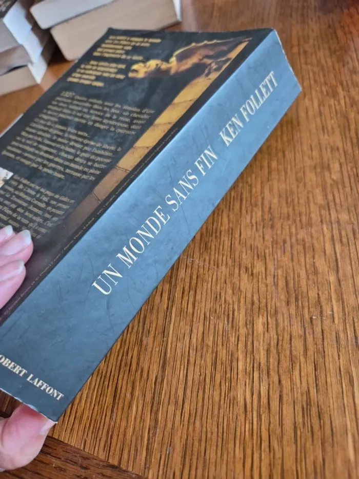 Un monde sans fin de Ken Follett - photo numéro 5