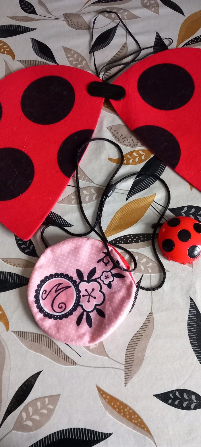 Costume miraculous - photo numéro 2