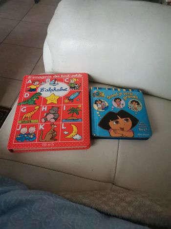 Lot de 2 livres enfants Dora et l alphabet