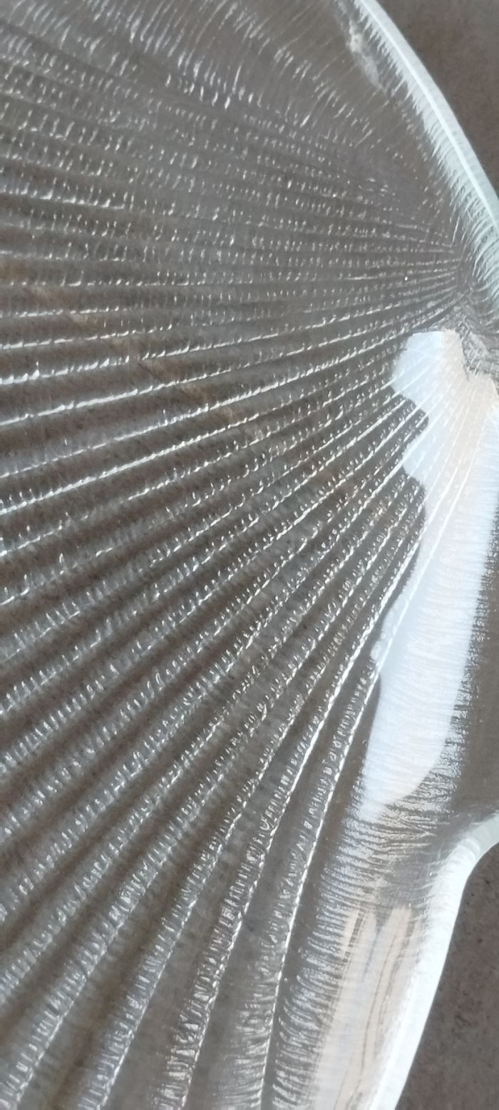 Plat forme coquillage - photo numéro 3