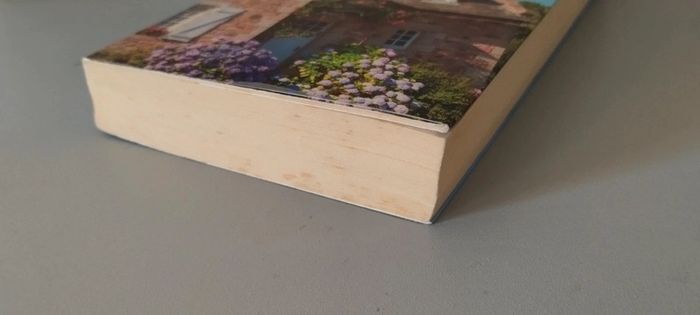 Le silence d'Amarine - photo numéro 4