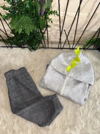 Jogging et sweat dinosaures garçon 18 mois