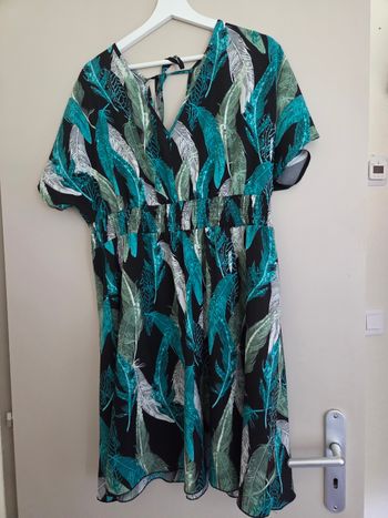 Robe plumes