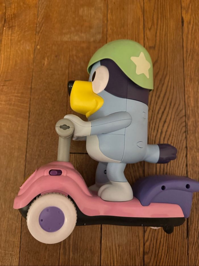 Trotti bluey - photo numéro 2