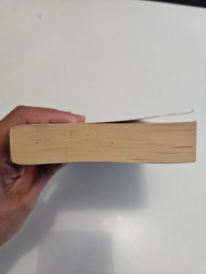 Peter Robinson: Tome 5 "Noir comme neige" - photo numéro 6