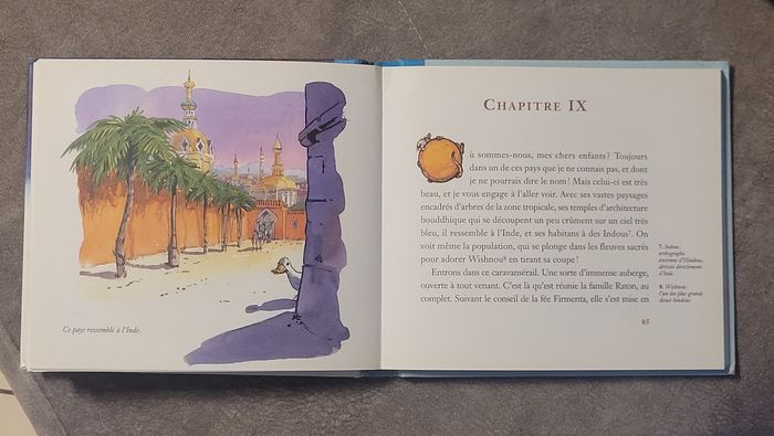 Aventures de la famille Raton Jules Verne, Dom (Illustrations) - photo numéro 4