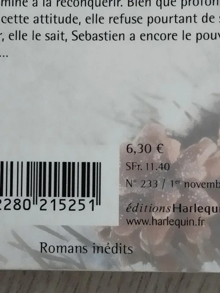 2en1 romans inédits Un noël avec toi et Aussi brûlant qu'un souvenir - photo numéro 5