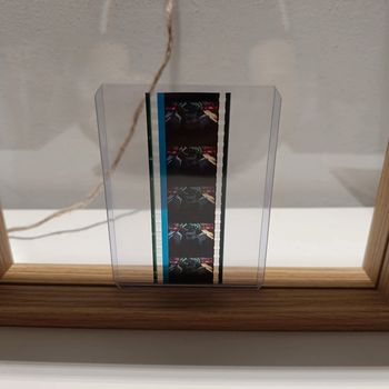 Pellicule démon slayer gyotaro