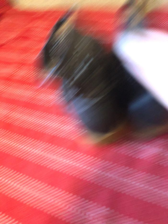 Bottines - photo numéro 3
