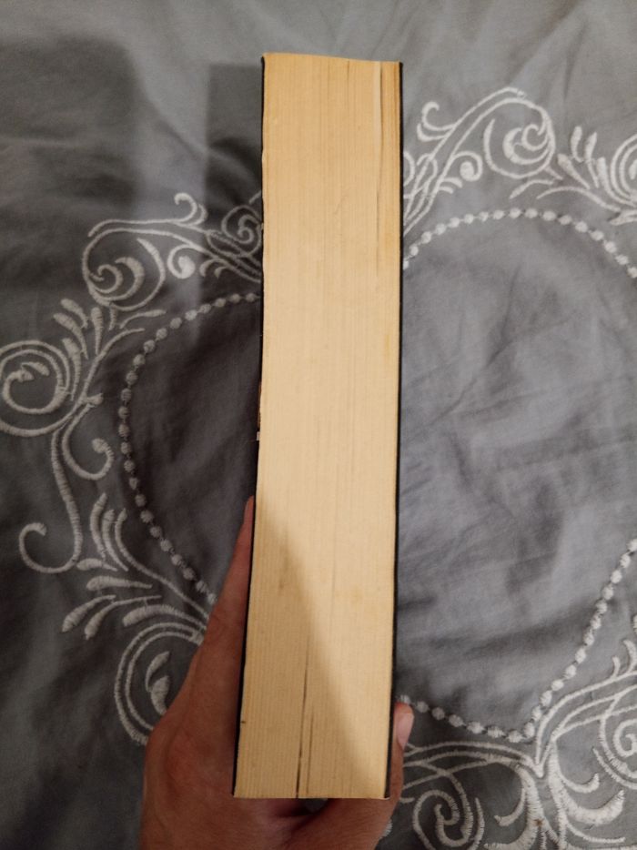 Livre (14) 📚 Le mystère de l'arche sacrée - photo numéro 4