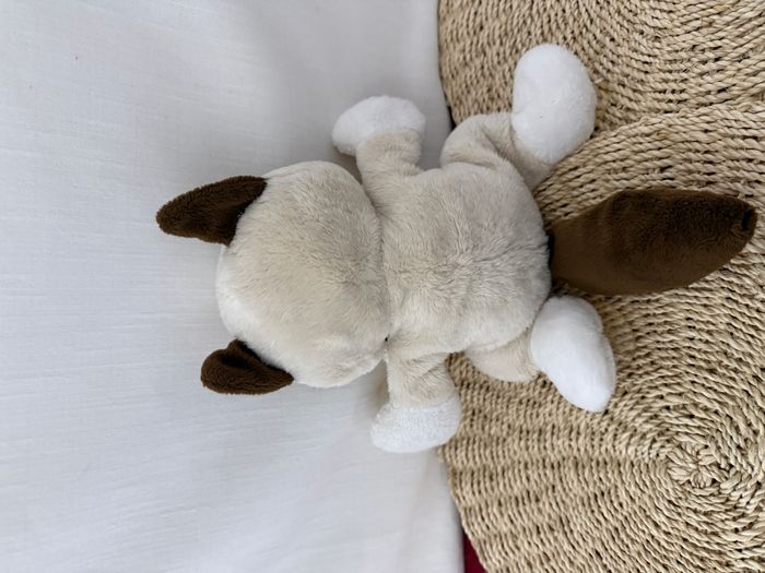 Peluche Chat Grumpy Cat Ganz avec ventouses pour fenêtre - photo numéro 3