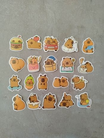 Lot x20 stickers autocollants Capybara