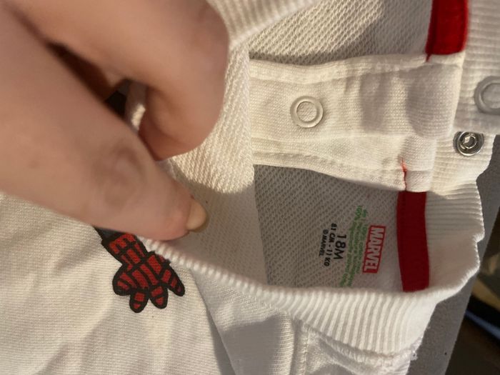 Lot de 2 ensemble - photo numéro 4