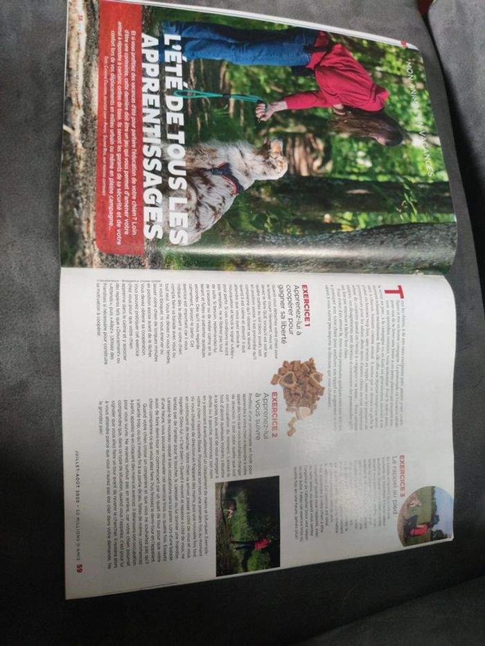 Magazine 30 millions d'amis numéro 386 été juillet août 2020 - photo numéro 10
